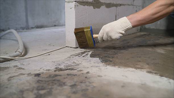 24/7 Emergency Wet Basement Repair experts in Pentwater, MI
